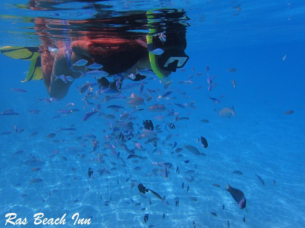 Ras Beach Inn Rasdhoo Eksteriør billede